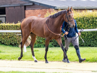 HC240925-59 - Rousham